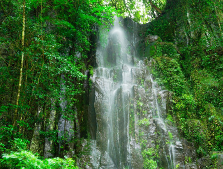 高千穂峡貸しボート | 高千穂町観光協会【公式】 宮崎県 高千穂の観光