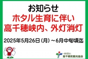 2025年高千穂峡の外灯消灯のお知らせとホタル鑑賞について